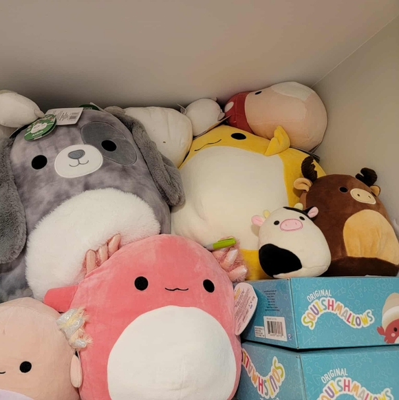 Squishmallows - Picture 4 of 5